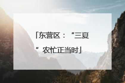 东营区：“三夏”农忙正当时