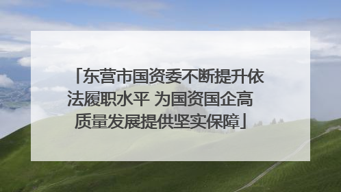 东营市国资委不断提升依法履职水平 为国资国企高质量发展提供坚实保障