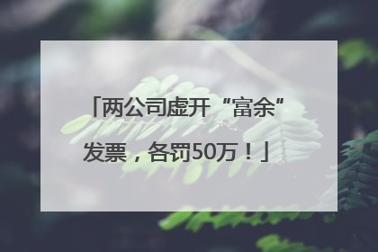 两公司虚开“富余”发票，各罚50万！