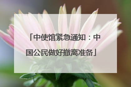 中使馆紧急通知：中国公民做好撤离准备