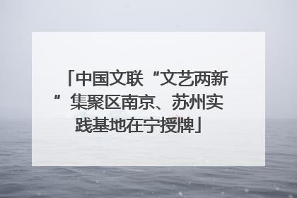 中国文联“文艺两新”集聚区南京、苏州实践基地在宁授牌