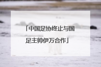 中国足协终止与国足主帅伊万合作