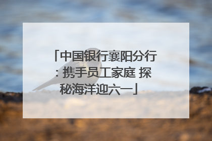 中国银行襄阳分行：携手员工家庭 探秘海洋迎六一