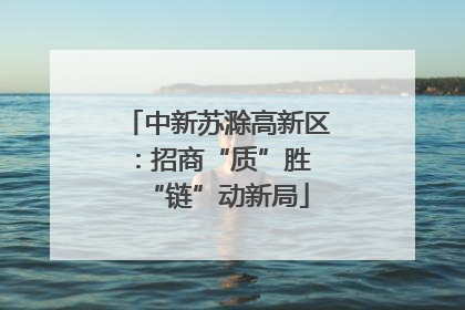 中新苏滁高新区：招商“质”胜 “链”动新局