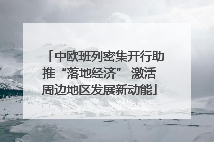 中欧班列密集开行助推“落地经济” 激活周边地区发展新动能