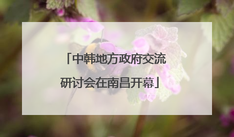 中韩地方政府交流研讨会在南昌开幕
