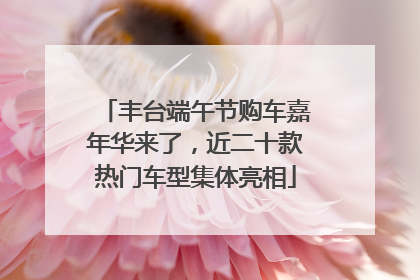 丰台端午节购车嘉年华来了，近二十款热门车型集体亮相