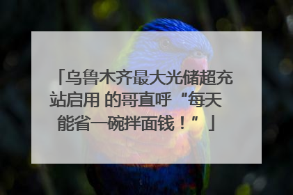 乌鲁木齐最大光储超充站启用 的哥直呼“每天能省一碗拌面钱！”