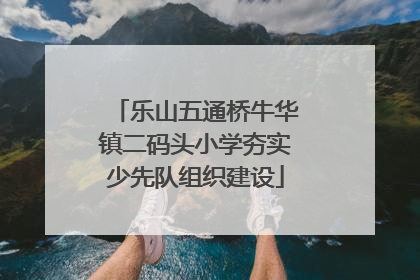 乐山五通桥牛华镇二码头小学夯实少先队组织建设