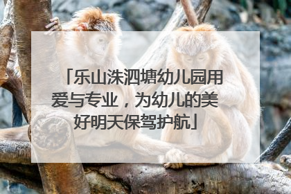 乐山洙泗塘幼儿园用爱与专业，为幼儿的美好明天保驾护航