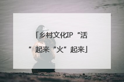 乡村文化IP“活”起来“火”起来
