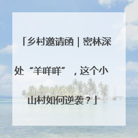 乡村邀请函｜密林深处“羊咩咩”，这个小山村如何逆袭？