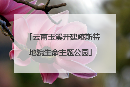 云南玉溪开建喀斯特地貌生命主题公园