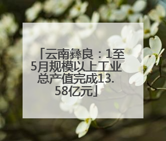 云南彝良：1至5月规模以上工业总产值完成13.58亿元