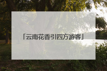云南花香引四方游客