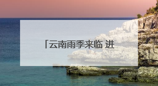 云南雨季来临 进入一年一度吃菌季