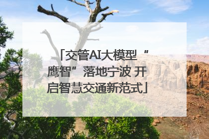 交管AI大模型“鹰智”落地宁波 开启智慧交通新范式