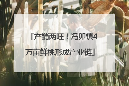 产销两旺！冯卯镇4万亩鲜桃形成产业链