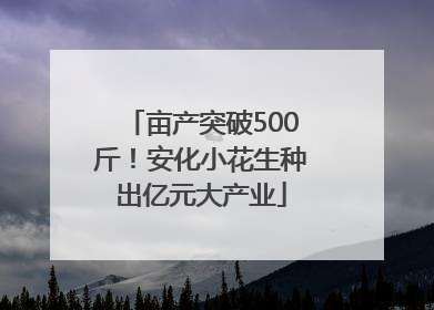 亩产突破500斤！安化小花生种出亿元大产业