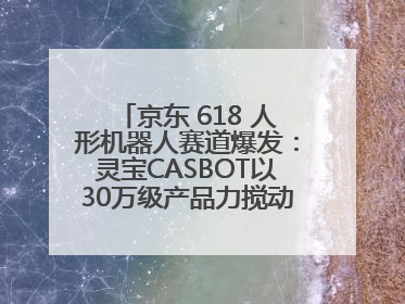 京东 618 人形机器人赛道爆发：灵宝CASBOT以30万级产品力搅动行业新变局