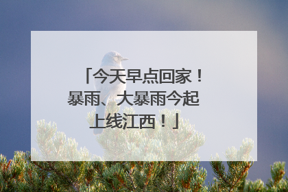 今天早点回家！暴雨、大暴雨今起上线江西！