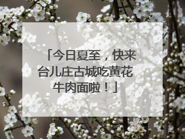 今日夏至，快来台儿庄古城吃黄花牛肉面啦！