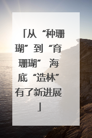 从“种珊瑚”到“育珊瑚” 海底“造林”有了新进展
