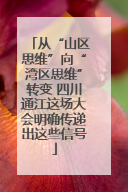 从“山区思维”向“湾区思维”转变 四川通江这场大会明确传递出这些信号