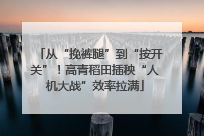 从“挽裤腿”到“按开关”！高青稻田插秧“人机大战”效率拉满