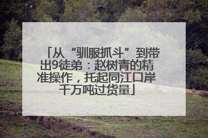 从“驯服抓斗”到带出9徒弟：赵树青的精准操作，托起同江口岸千万吨过货量