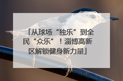 从球场“独乐”到全民“众乐”！淄博高新区解锁健身新力量