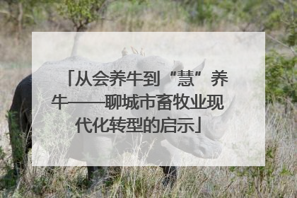 从会养牛到“慧”养牛——聊城市畜牧业现代化转型的启示