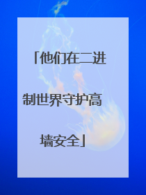 他们在二进制世界守护高墙安全