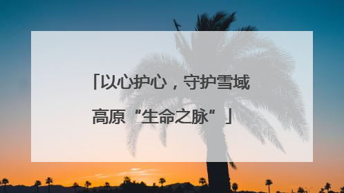 以心护心，守护雪域高原“生命之脉”