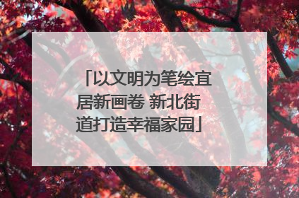 以文明为笔绘宜居新画卷 新北街道打造幸福家园