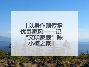 以身作则传承优良家风——记“文明家庭”陈小梅之家