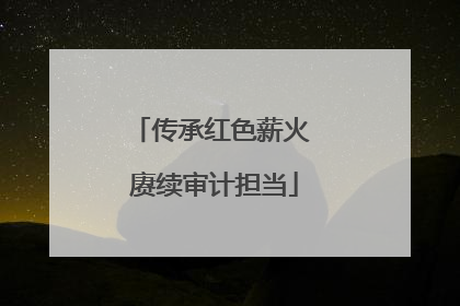 传承红色薪火 赓续审计担当