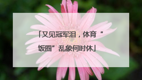 又见冠军泪，体育“饭圈”乱象何时休