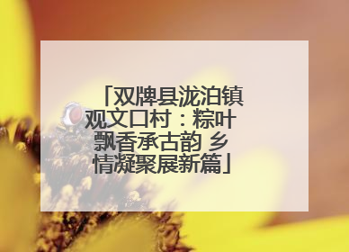 双牌县泷泊镇观文口村：粽叶飘香承古韵 乡情凝聚展新篇