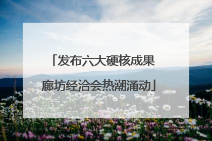 发布六大硬核成果 廊坊经洽会热潮涌动