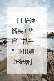 十倍速插秧！华容“铁牛”下田刷新纪录