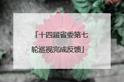 十四届省委第七轮巡视完成反馈