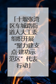 十堰张湾区车城路街道人大工委组织开展 “聚力建支点·建功示范区”代表行动