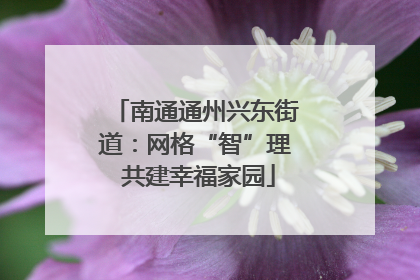 南通通州兴东街道：网格“智”理 共建幸福家园