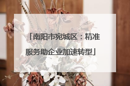 南阳市宛城区：精准服务助企业加速转型