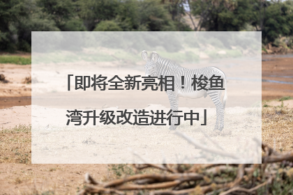 即将全新亮相！梭鱼湾升级改造进行中