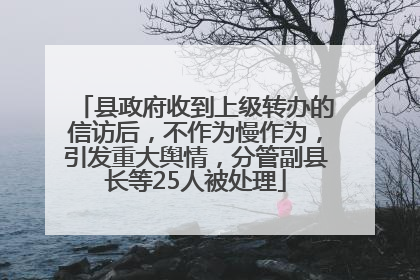 县政府收到上级转办的信访后，不作为慢作为，引发重大舆情，分管副县长等25人被处理