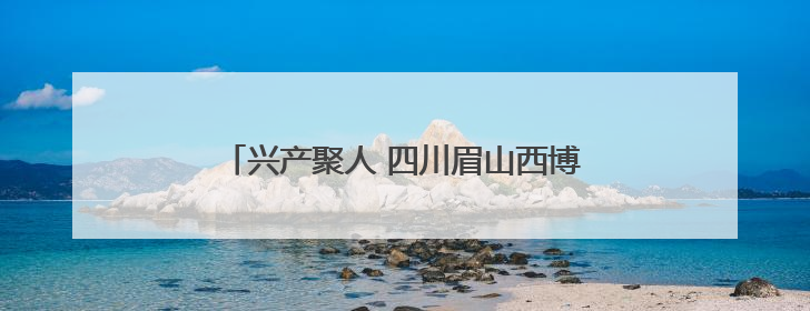 兴产聚人 四川眉山西博会上展示磅礴发展动能
