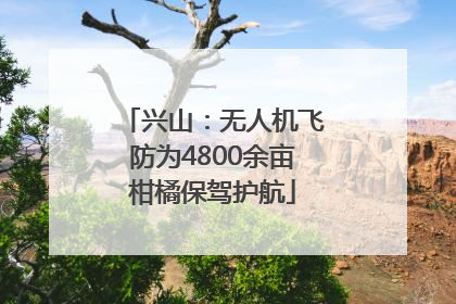 兴山：无人机飞防为4800余亩柑橘保驾护航