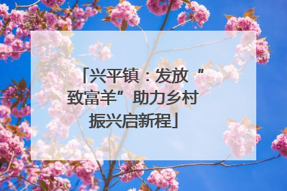 兴平镇：发放“致富羊”助力乡村振兴启新程